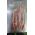 1-Beef Shorplate 2mm 1KG